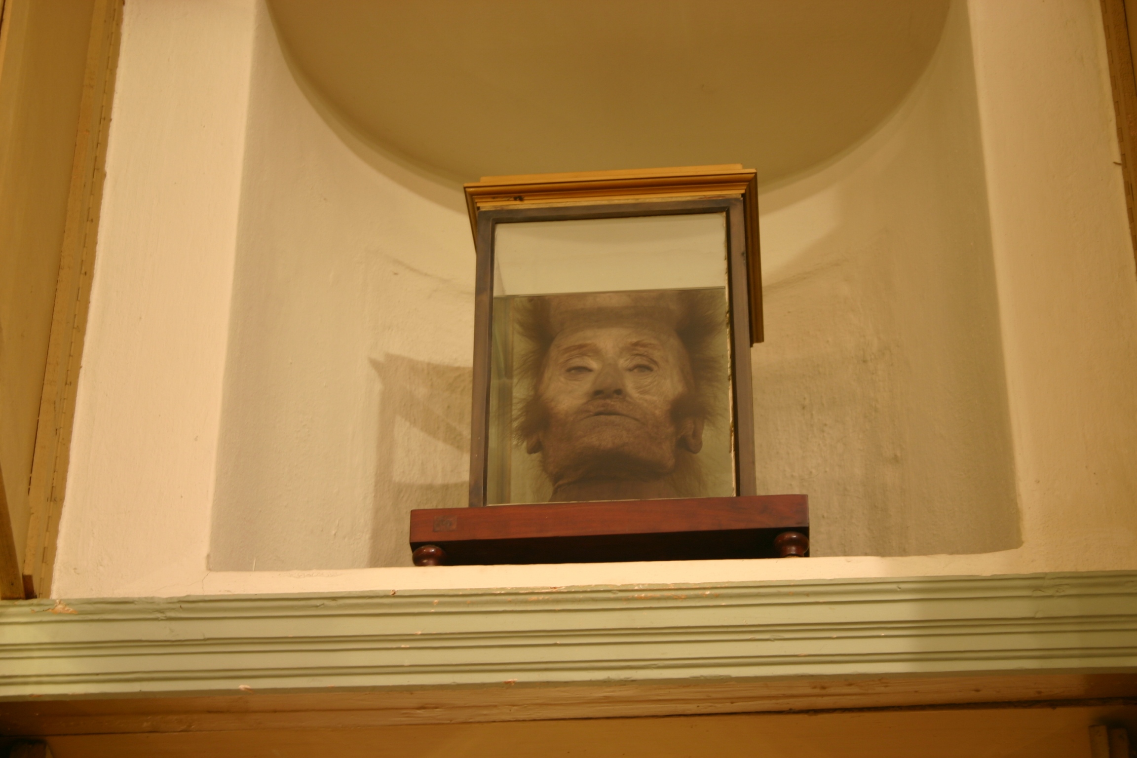 Antonio Scarpa's head, Museo per la Storia dell'Università, Pavia - 02.JPG